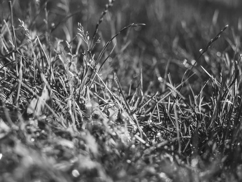 sudoku problem solving screenshot 4